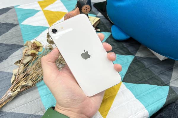 只有鐵粉會買？調研：蘋果 iPhone SE、谷歌 Pixel 6“都賣不好”