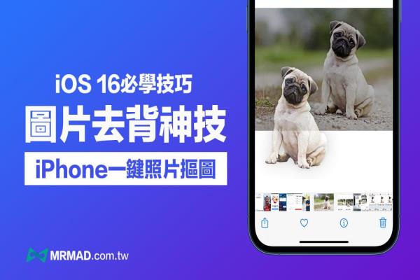 iOS 16“照片去背景”技巧教學，用iPhone內建一鍵摳圖超神速