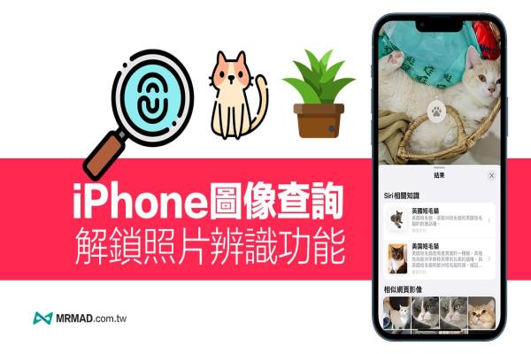 iPhone圖像查詢怎么用？教你解鎖iOS 照片辨識功能